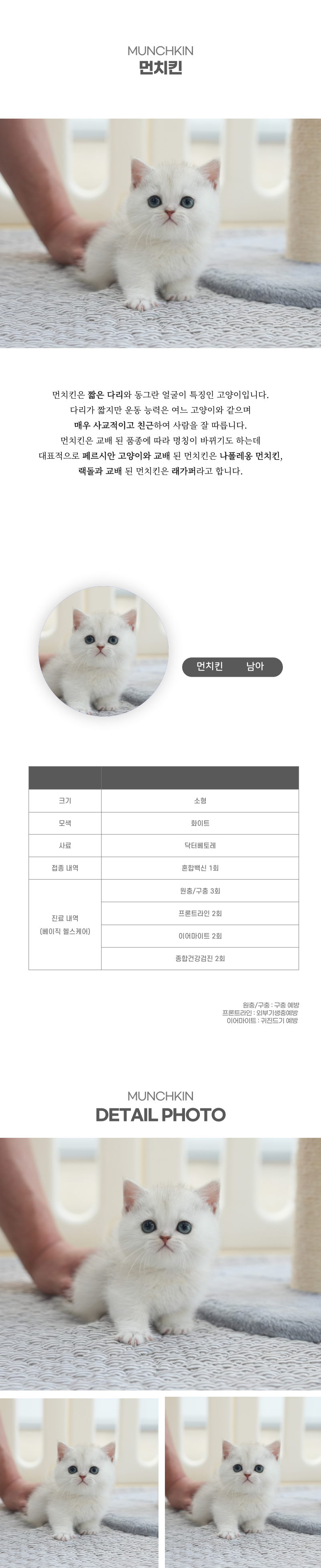 먼치킨_상세이미지_2